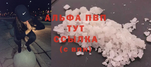 прущие грибы Майский