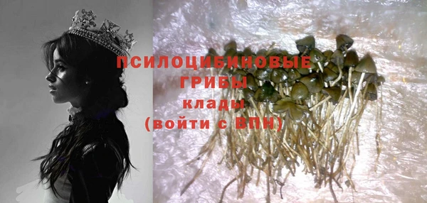 прущие грибы Майский