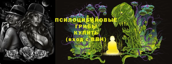 прущие грибы Майский
