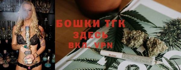 прущие грибы Майский