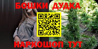 СК Будённовск