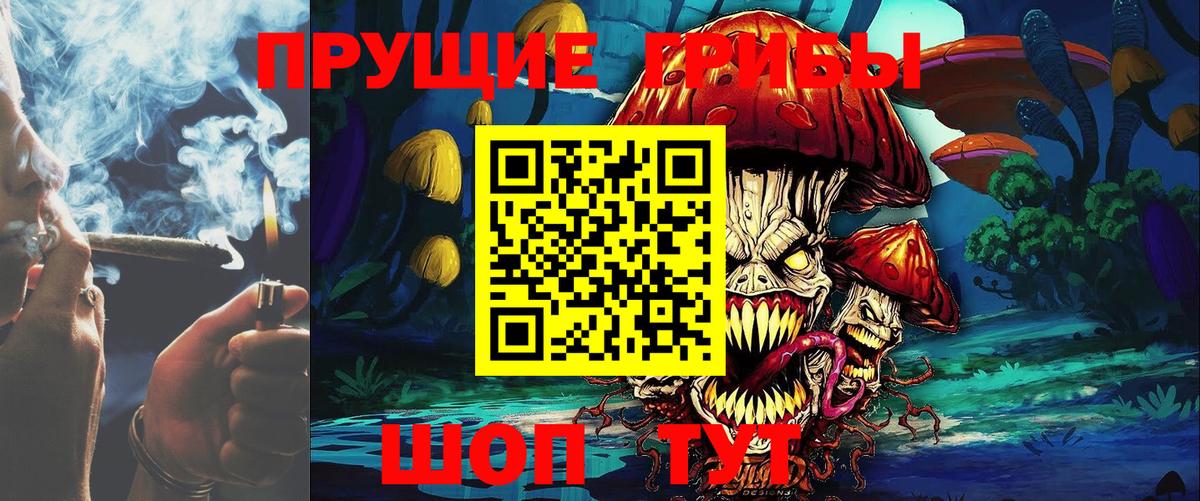 Галлюциногенные грибы мицелий  Приморско-Ахтарск 