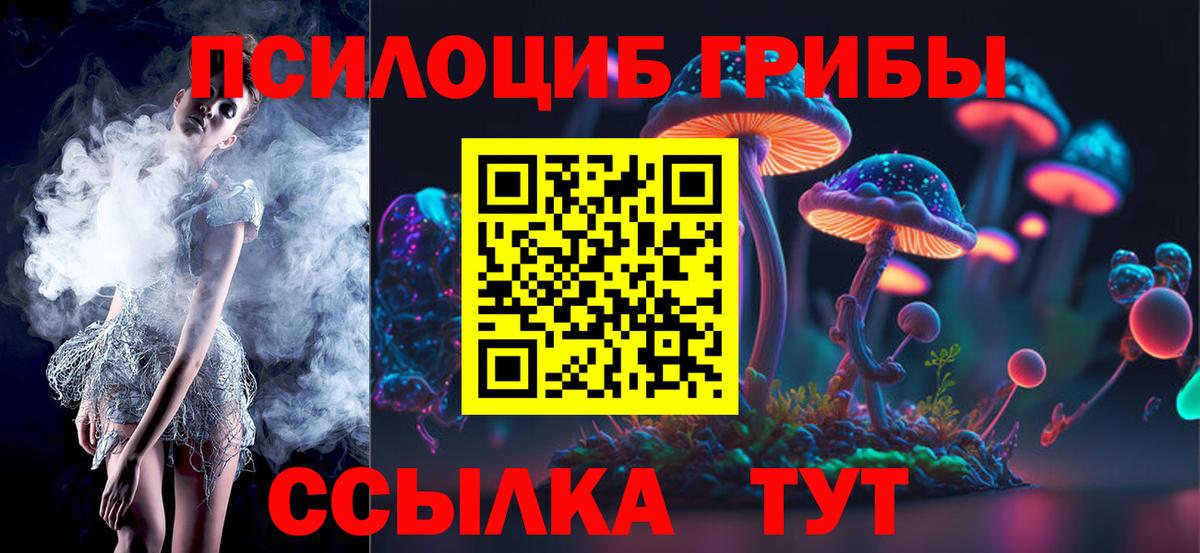 Псилоцибиновые грибы Cubensis Приморско-Ахтарск