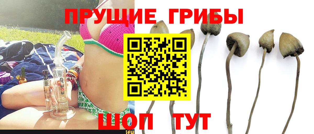 Галлюциногенные грибы мухоморы Приморско-Ахтарск