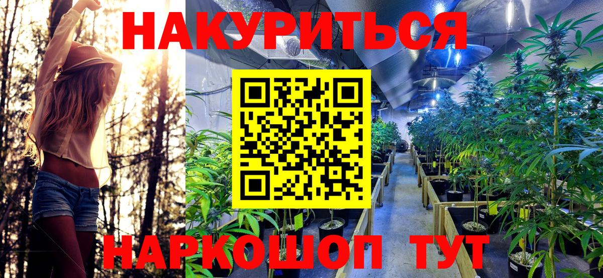Бошки марихуана марихуана  Вход с VPN  Бошки Шишки планчик  Приморско-Ахтарск  Каннабис White Widow 